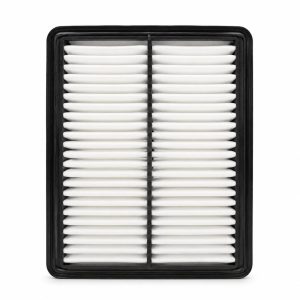 FILTRO AIRE DE SOUEAST C1